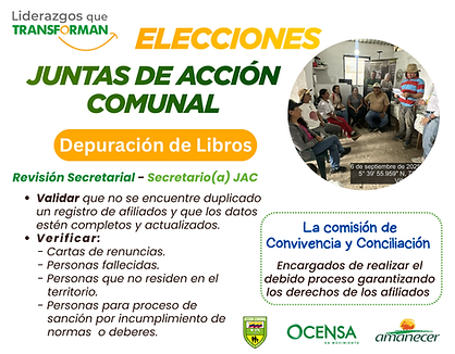 Depuracion_libros (1).png