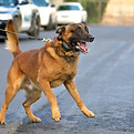 AdobeStock_29450164.jpeg