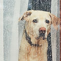 AdobeStock_190898791 (1).jpeg