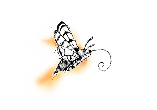 PAPAILLON5.png