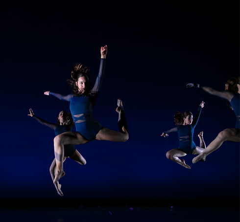 HalHorowitzPhotography-8813_edited_edited.png