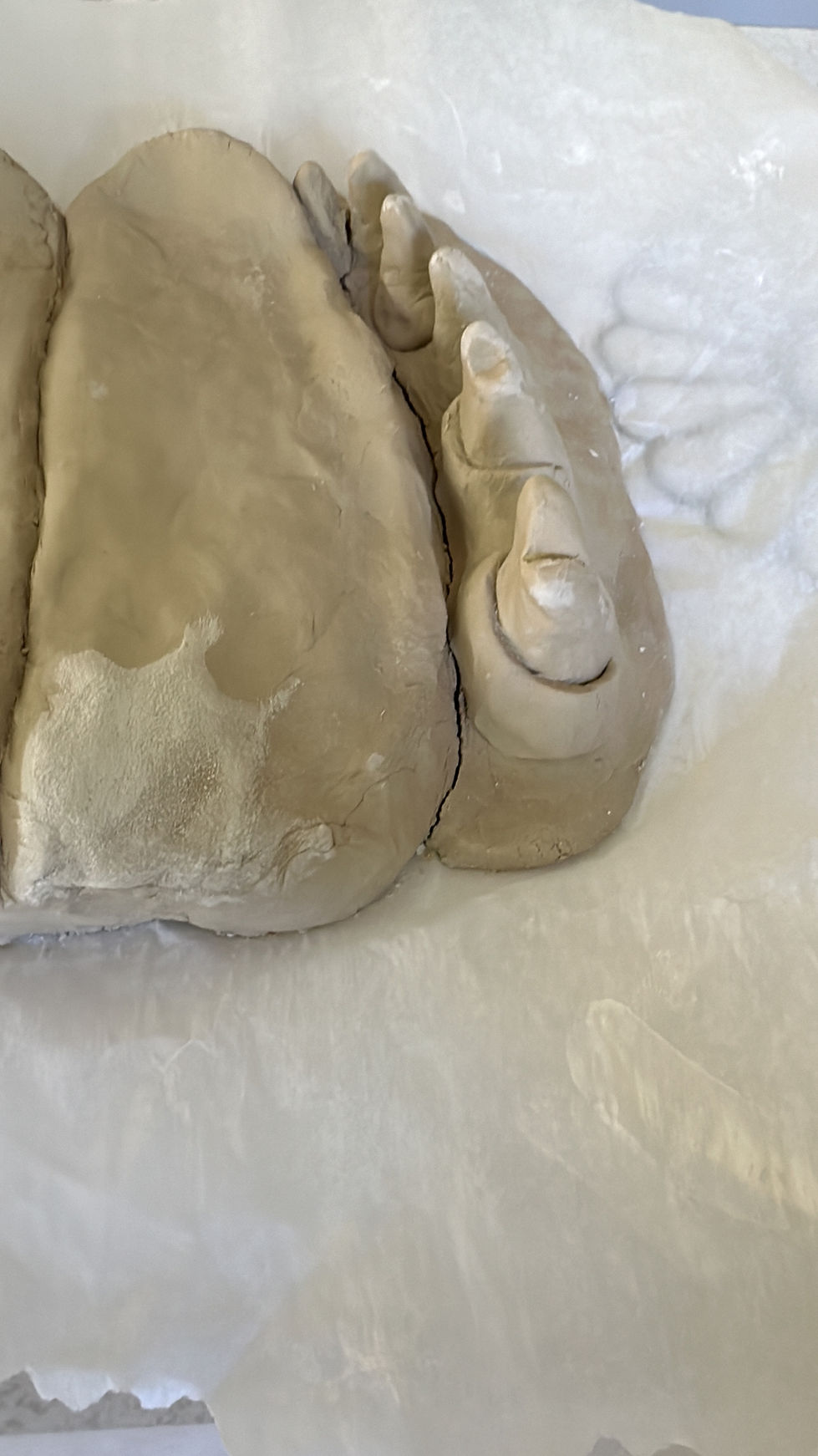 935E0526-FE71-4294-80EB-5FDC3A0CFE50