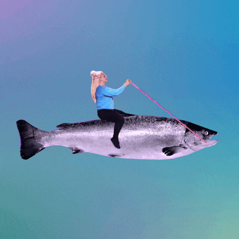 Salmon.gif