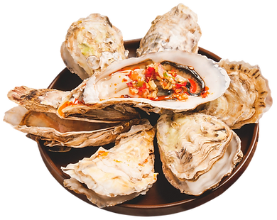 —Pngtree—oysters_5608700.png