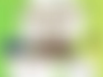 サマーキャンプ2026チラシ