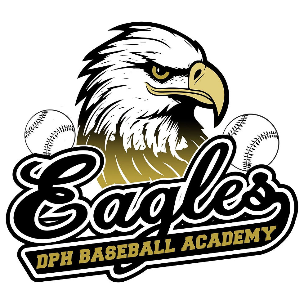 Free Pro Baseball Camp