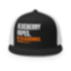 Thumbnail: Blueberry Vapes, No Blueberries | Trucker Cap