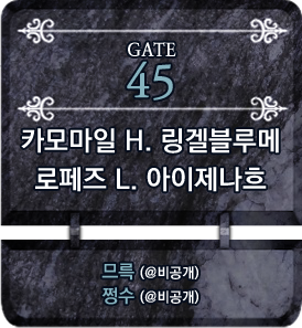 45 카모마일 H 링겔블루메 x 로페즈 L 아이제나흐.png