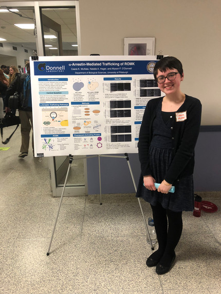 Undergraduate presentations!