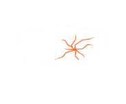 Cracked Windshield.png