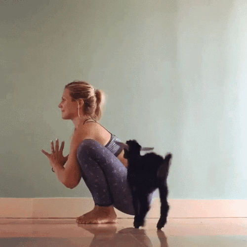 yoga.gif