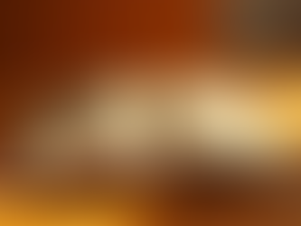 Discover Truth and Beauty in ASOC Productions' Illustrated Books