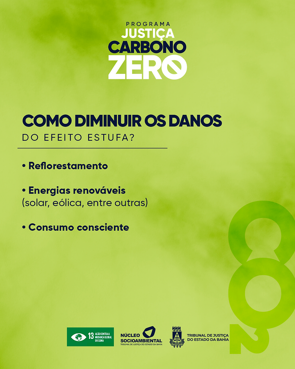 Card 2 - Carbono Zero - Como diminuir danos