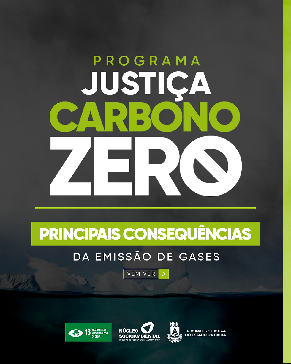 Card 1 - Carbono Zero - Principais consequências