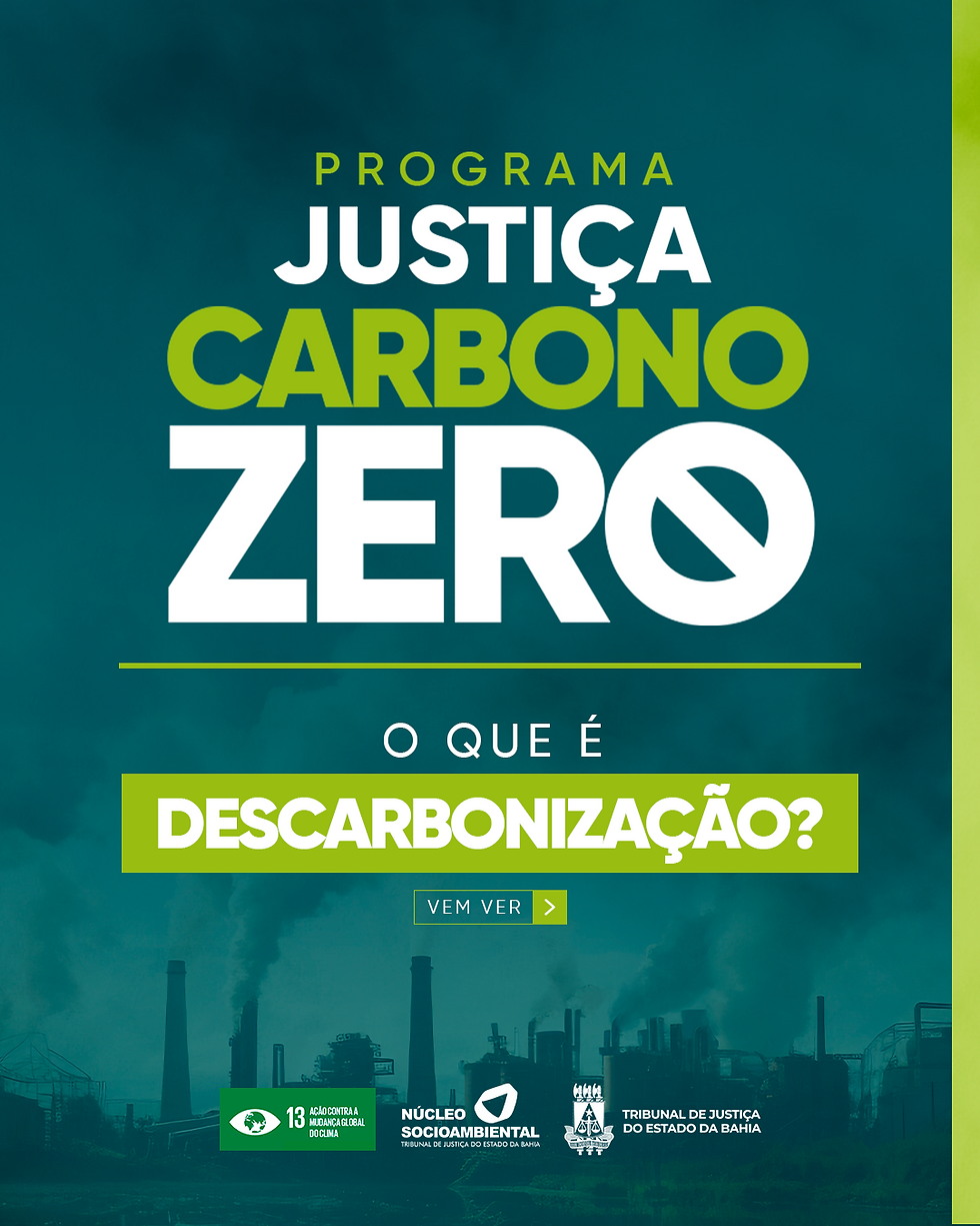 Card 1 - Carbono Zero