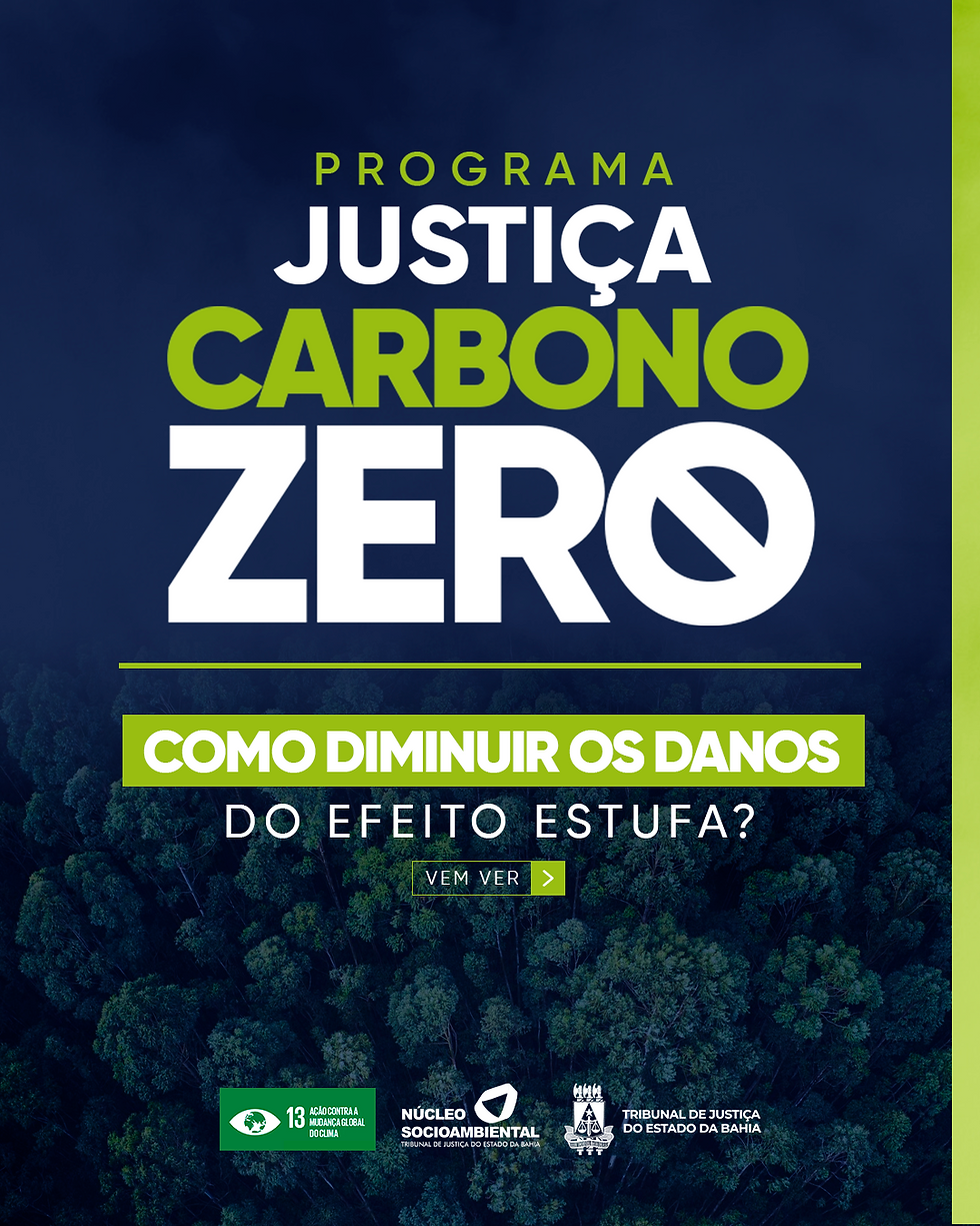 Card 1 - Carbono Zero - Como diminuir danos