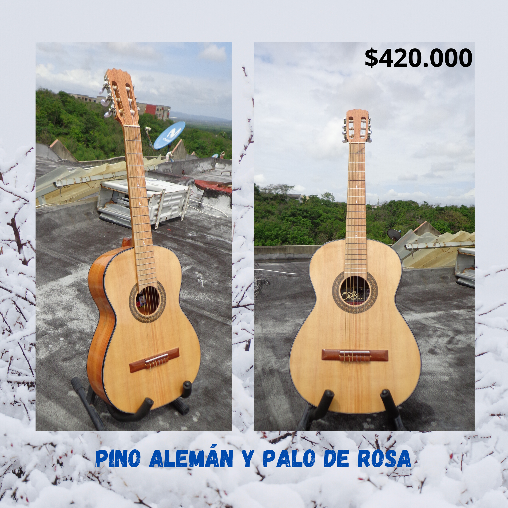 Guitarra pino aleman y palo de rosa