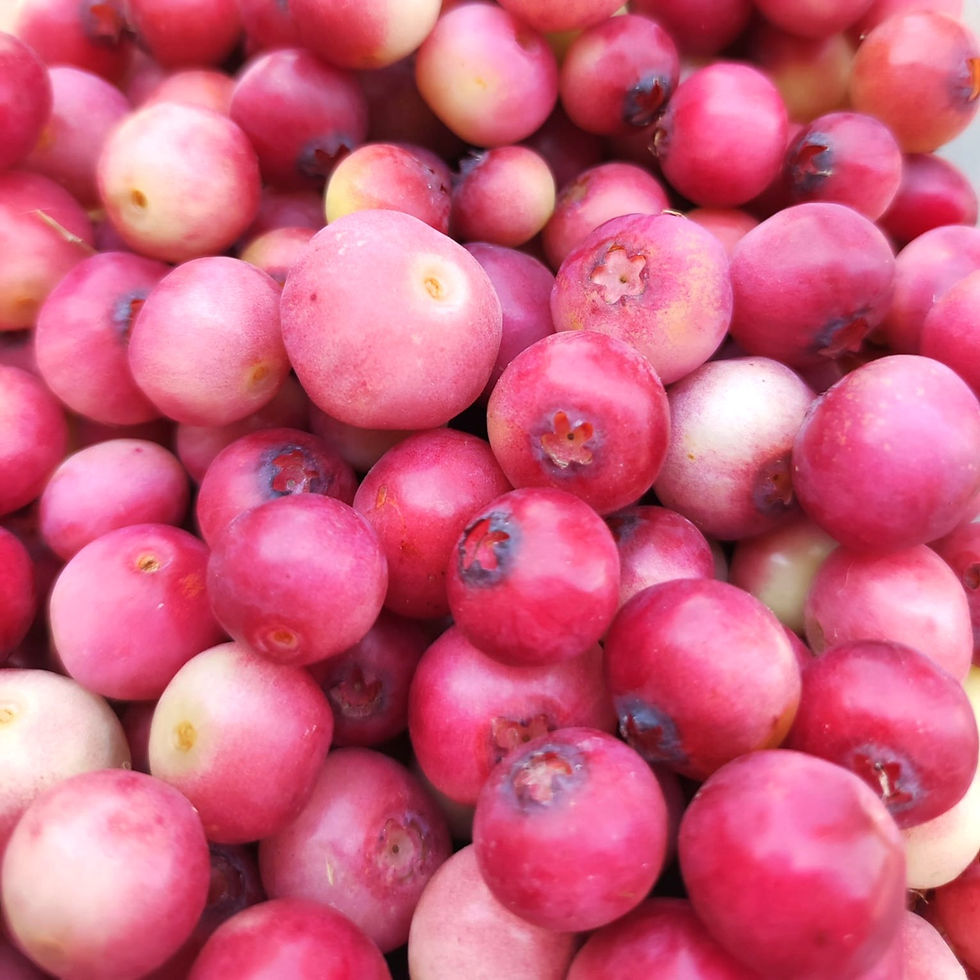 Thumbnail: Frullato di mirtilli rosa biologici 200 ml