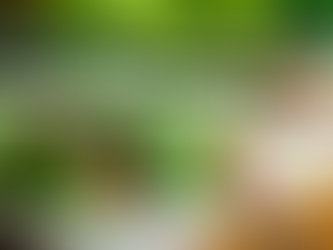 84% of Indian consumers seek safer, healthier food choices PwC report