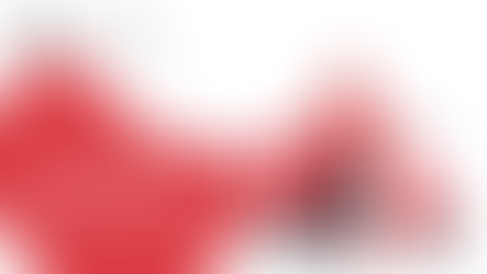 Cellecor Gadgets Limited joins hands with Zomato to empower delivery partners with smart wearables and audio gadgets