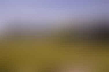 Granules India’s Unit V facility secures US FDA EIR with 'No Action Indicated' status