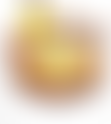 Third Wave Coffee fires up the oven; launches a range of delectable pizzas