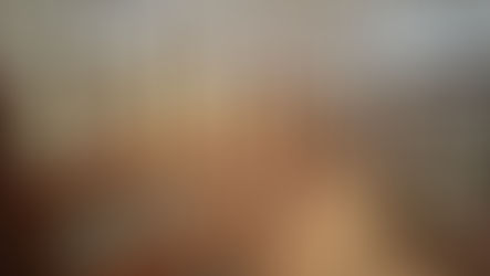 Pétition : Non à la disparition du Muséum d’histoire naturelle de Rouen