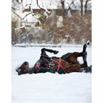 Thumbnail: Rambo Original Heavy 400g Turnout AAAA03 Green/Red