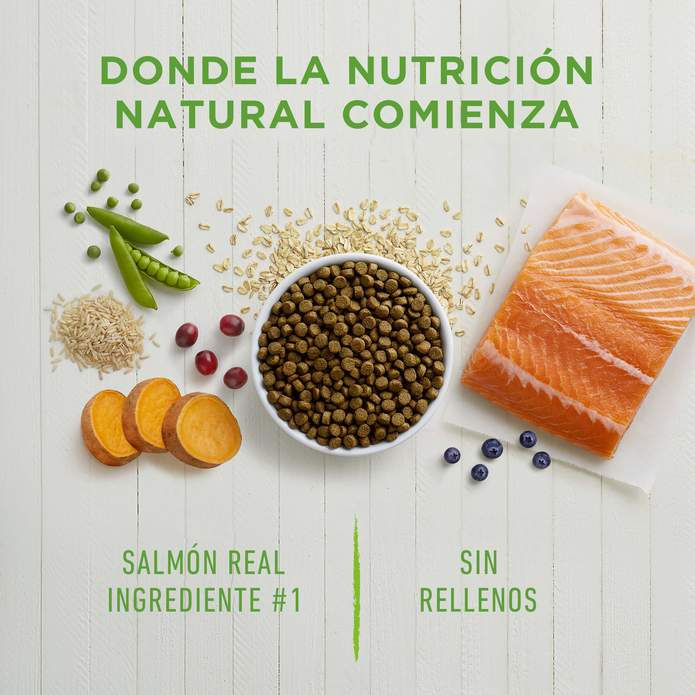 Miniatura: lInstinct Be Natural Salmón para perro | Instinct