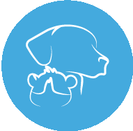 Logo de www.canelaytomaso.com