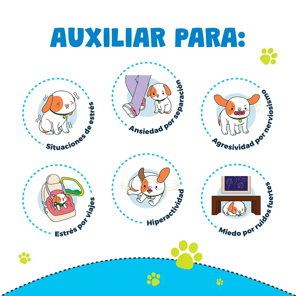 Miniatura: Premios suaves Waggy's Calming con CBD para Perro | Waggy's!