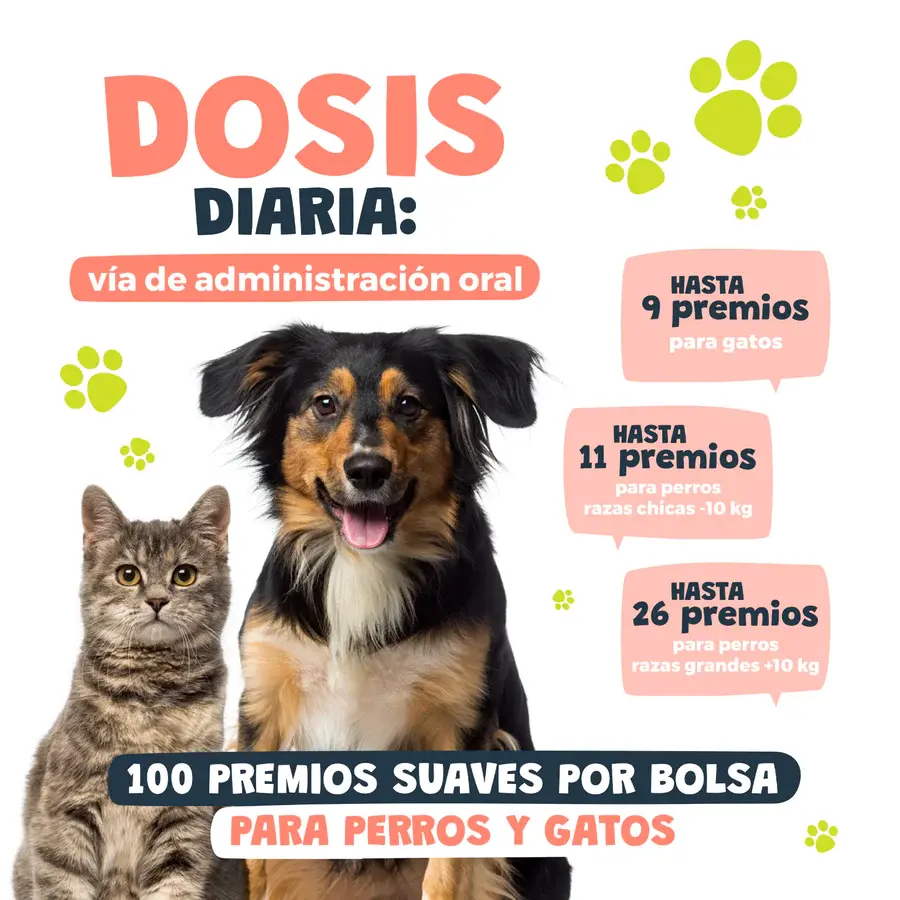 Miniatura: Salmon Bites: Premios Suaves para Gato 60 piezas | Waggy's!