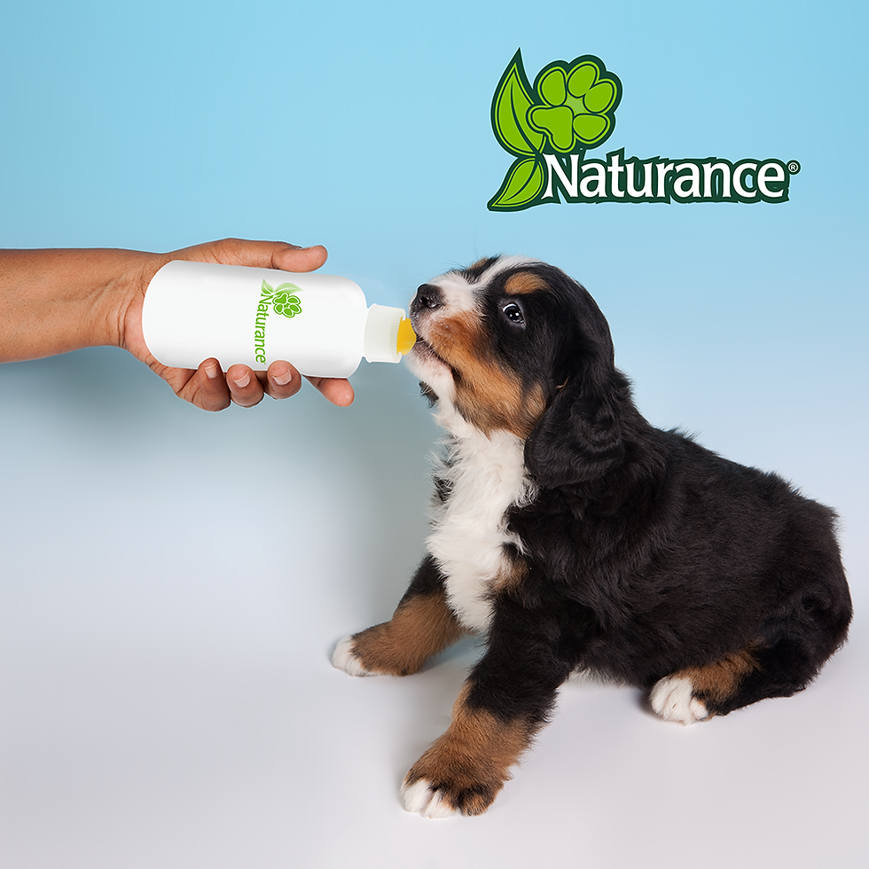 Miniatura: Biberón para cachorro | Naturance