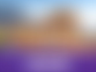 Best Travel Agency in Rajasthan - Rajasthan tour operators in Jaipur