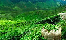 north east tour packages from aizawl, north east india tour packages