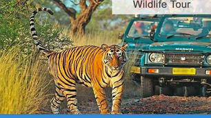 Golden triangle tour with rajasthan wildlife | 10 days golden triangle wildlife tour package