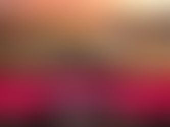 15 Days Royal Rajasthan Honeymoon Tour Package - Rajasthan Honeymoon Special Tour - India