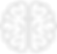 Brain