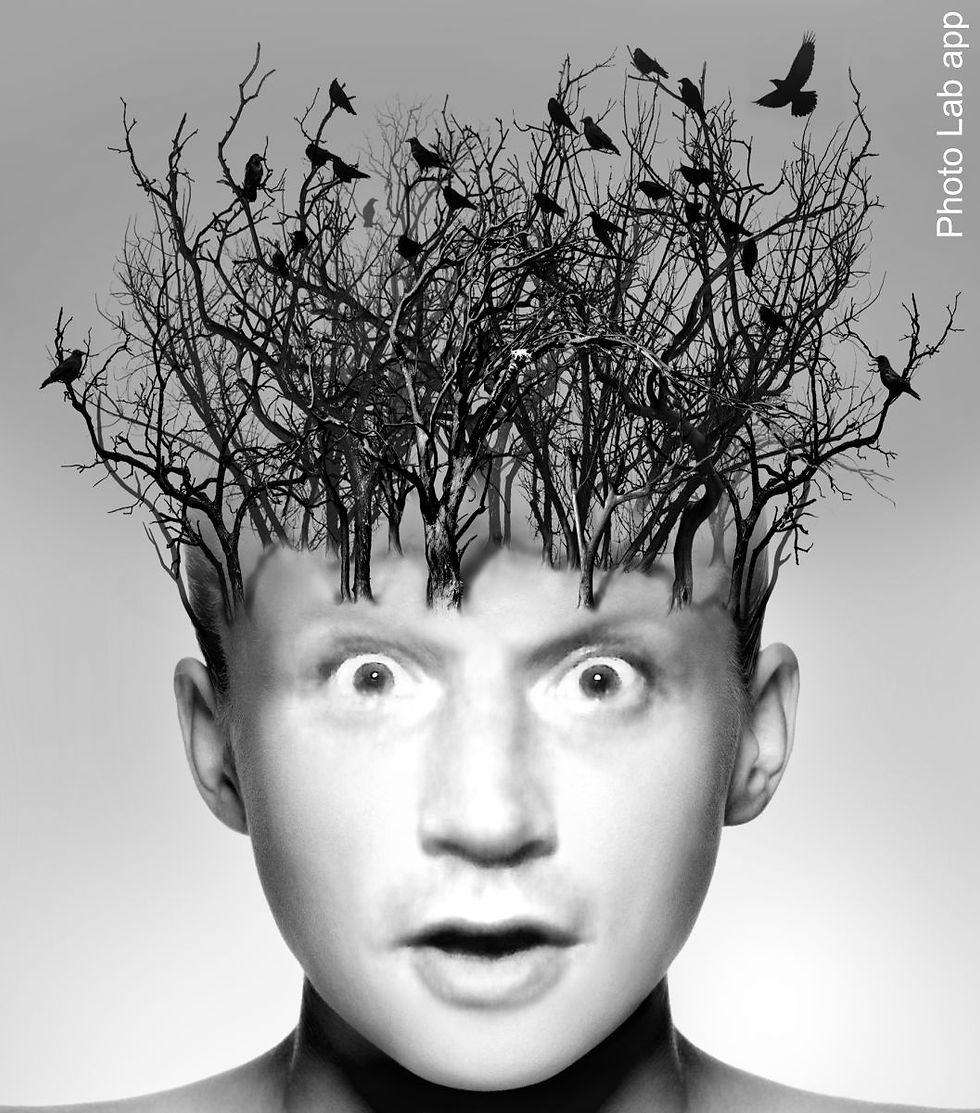 577d1dfd-f6d7-4ee9-9de7-fd45cc423947