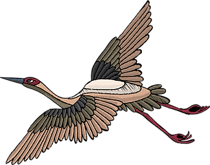 Вышитая Bird