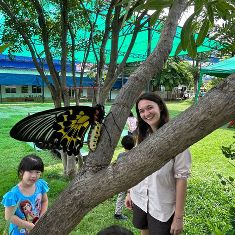 Metamorphosis Project 