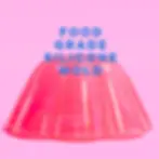 Vibrant pink resin or jelly cast in the classic Jelly Cake shape, featuring the bold text "FOOD GRADE SILICONE MOLD"