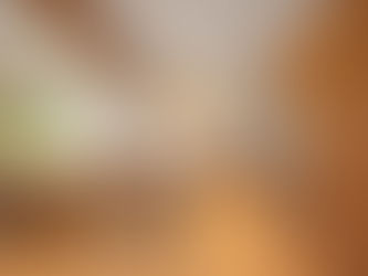 Exploring the Allure of Stone Harbor Custom Homes in Northwest Arkansas