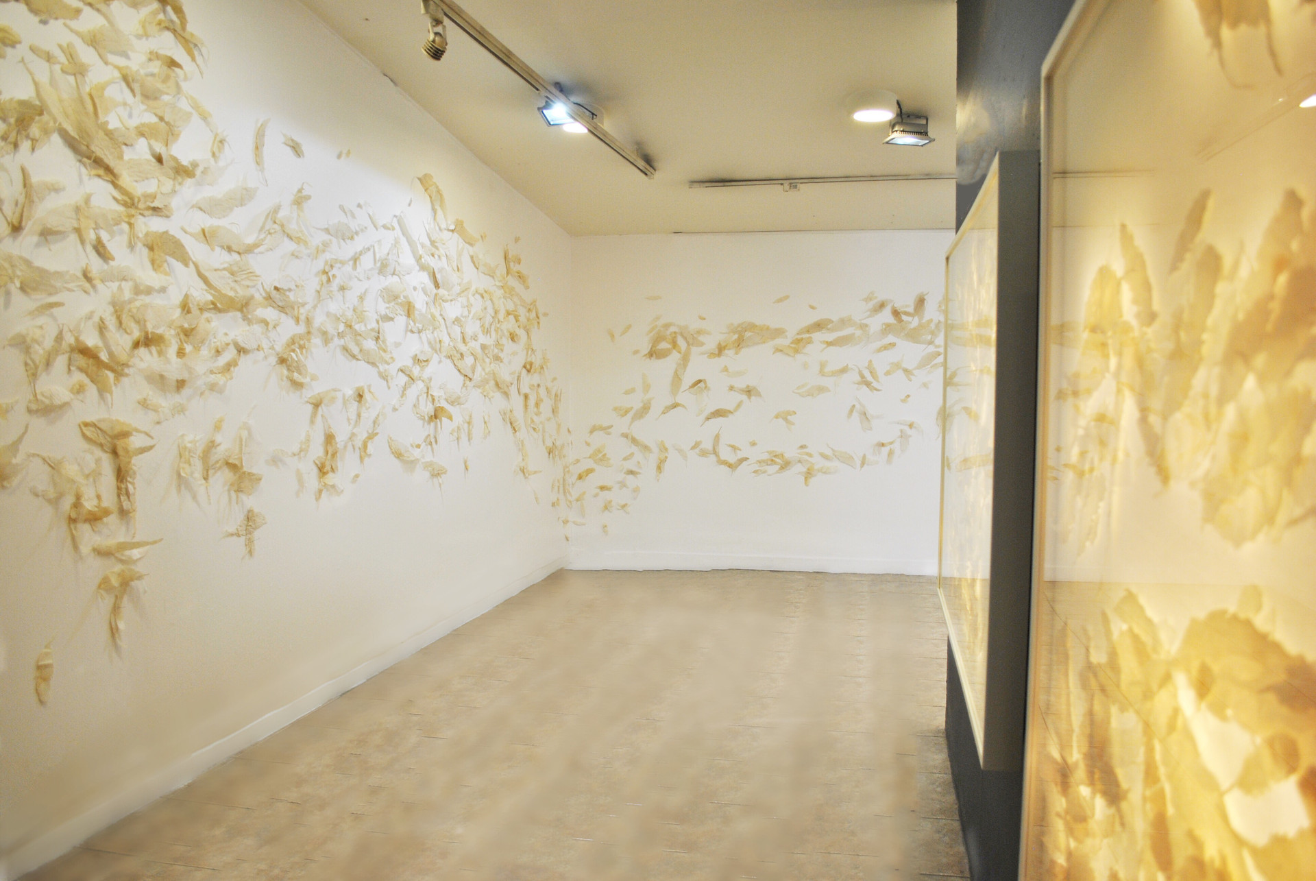 Entomological/2018/Silk Paper Pins/installation