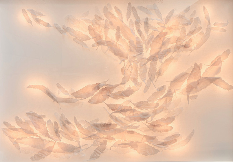 Photosynthesis/2018/Silk Paper/115x160 cm