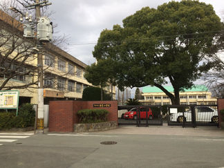 活動報告【番外編〜若葉〜】