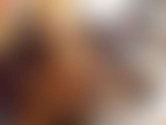 チームくまモンcafe2016.11.07 今日の活動