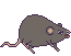 RATcharacter_ATACK_rightt.gif