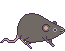 RATcharacter_WALK_right.gif