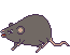 RATcharacter_ATACK_left.gif